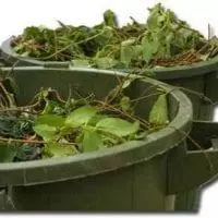 Yard Debris